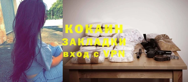 спайс Гусь-Хрустальный
