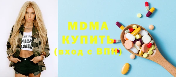 apvp Гусев
