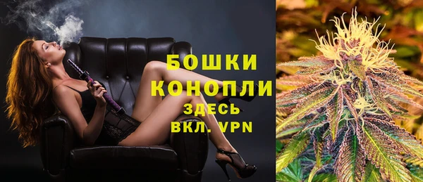 спайс Гусь-Хрустальный