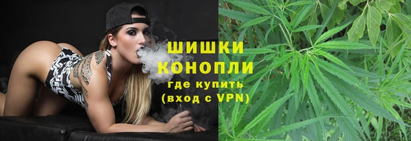 apvp Гусев