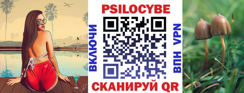 Галлюциногенные грибы Psilocybine cubensis kraken ССЫЛКА Жердевка